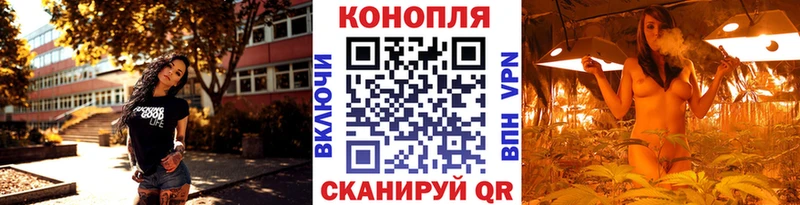 Шишки марихуана MAZAR закладка MEGA зеркало Котово